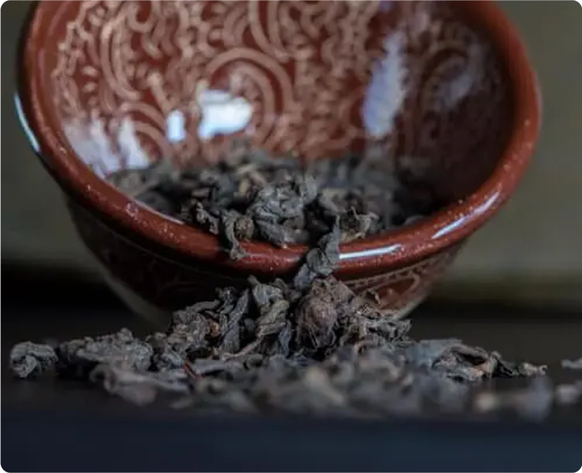 Die größte Auswahl an Pu-Erh-Tees