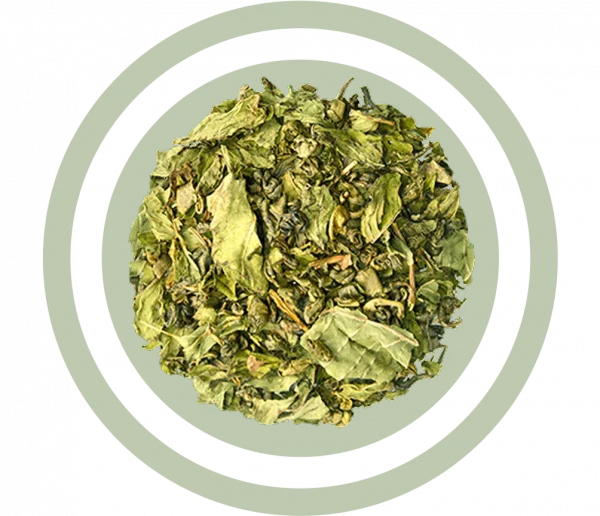 Grüner Tee product bild