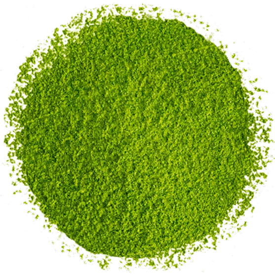 Matcha Tea img